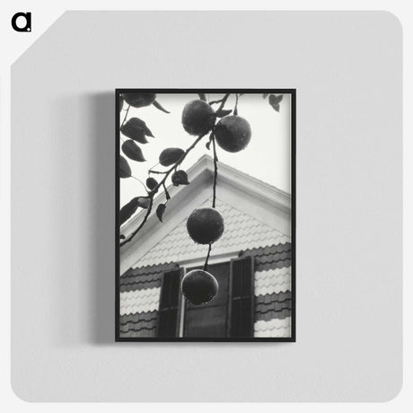 1-73_Alfred-Stieglitz_blk-crop