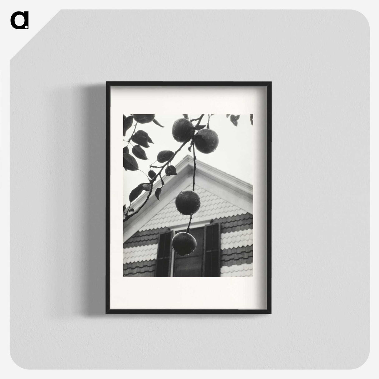 1-73_Alfred-Stieglitz_blk