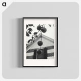 1-73_Alfred-Stieglitz_blk
