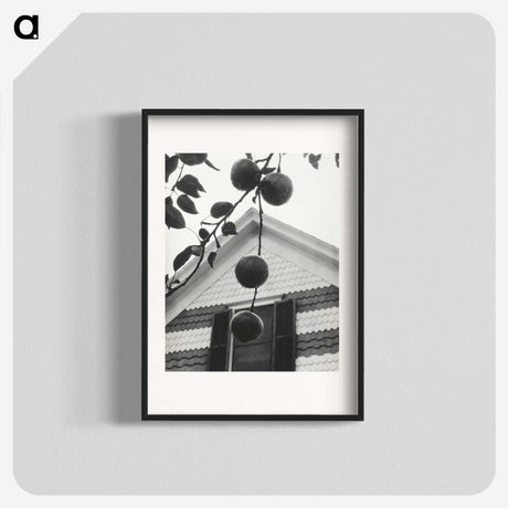 1-73_Alfred-Stieglitz_blk