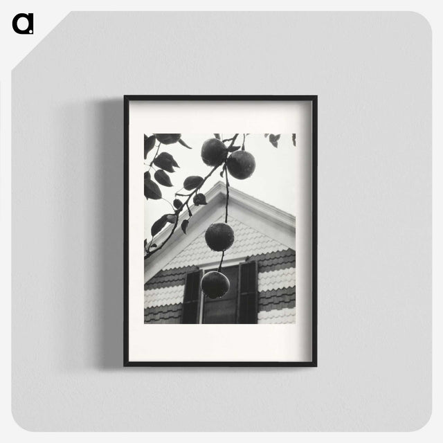 1-73_Alfred-Stieglitz_blk