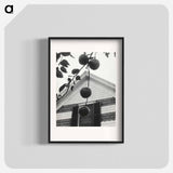 Gable and Apples - アルフレッド スティーグリッツ Poster.