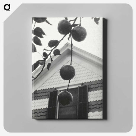1-73_Alfred-Stieglitz_canvas