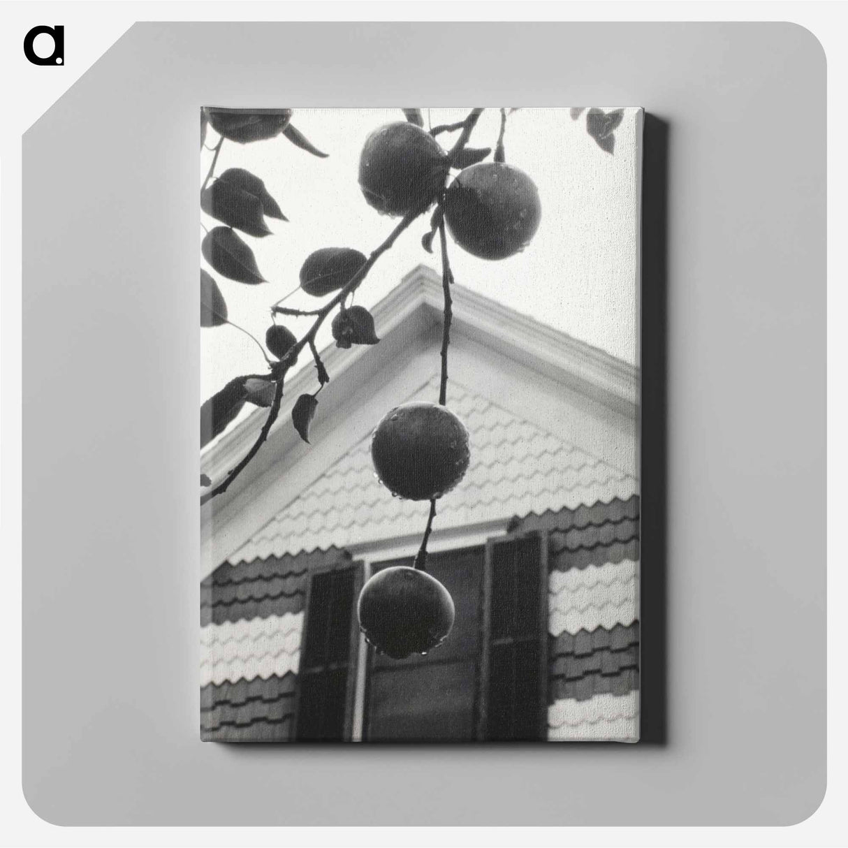 Gable and Apples - アルフレッド スティーグリッツ Canvas.