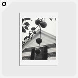アートポストカード-Gable and Apples - アルフレッド スティーグリッツ Postcard.