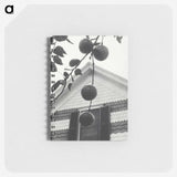 1-73_Alfred-Stieglitz_memo