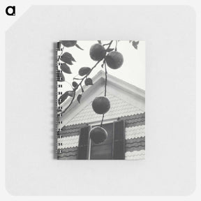 1-73_Alfred-Stieglitz_memo