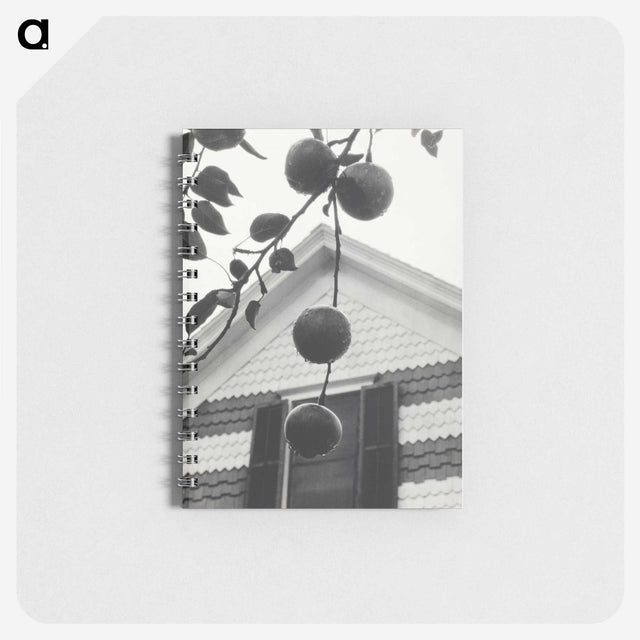 1-73_Alfred-Stieglitz_memo