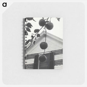 アートメモ帳-Gable and Apples - アルフレッド スティーグリッツ Memo.