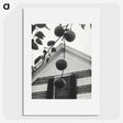 1-73_Alfred-Stieglitz_picture