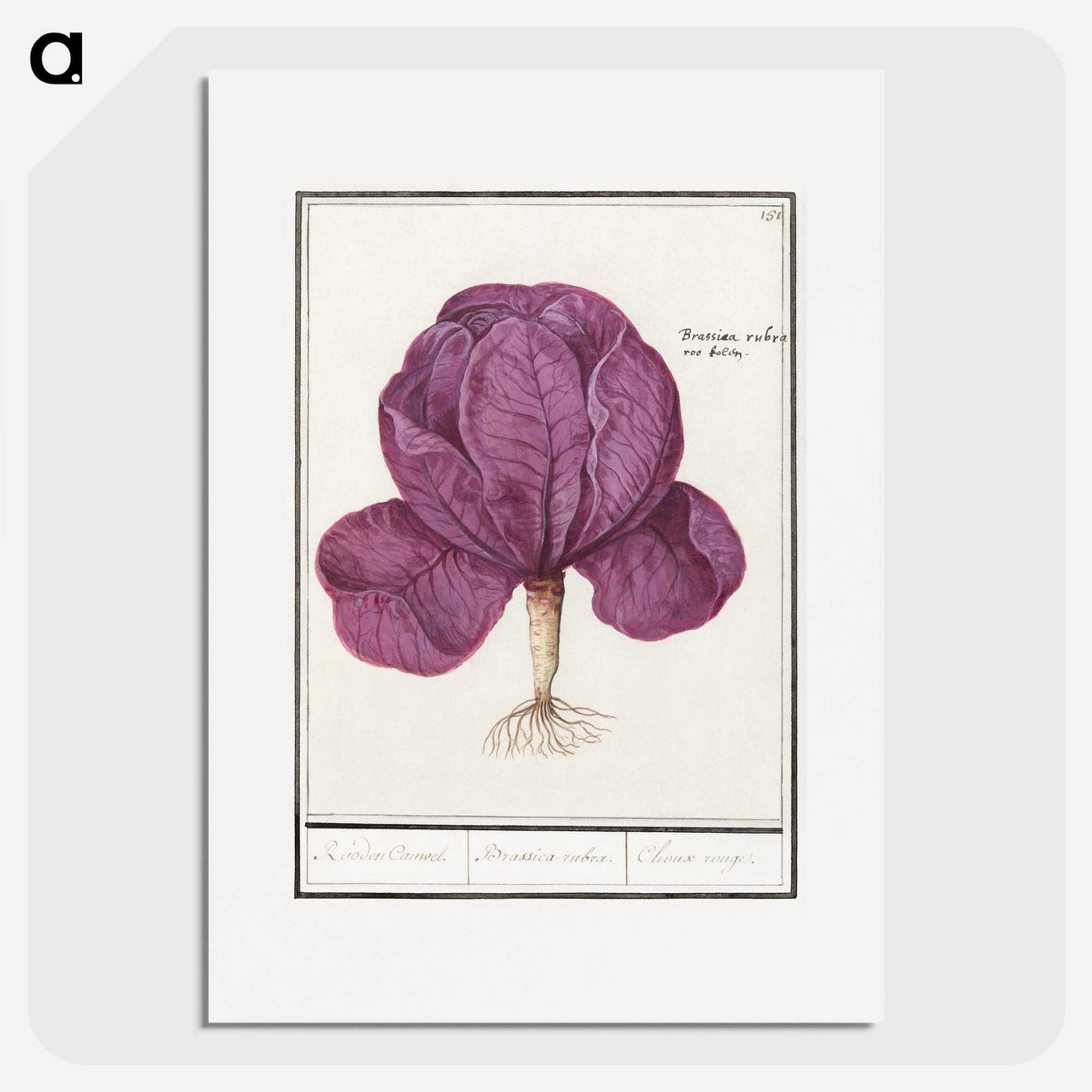 1-73_Anselmus-Boetius-de-Boodt_picture