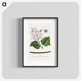 1-73_Botanical-Specimen-Plates_blk