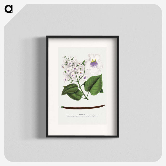 1-73_Botanical-Specimen-Plates_blk