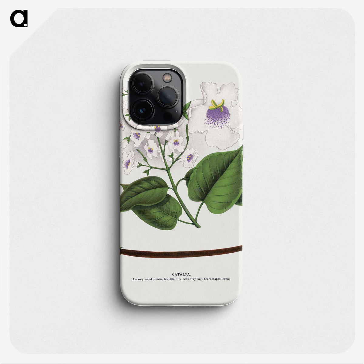 1-73_Botanical-Specimen-Plates_phone