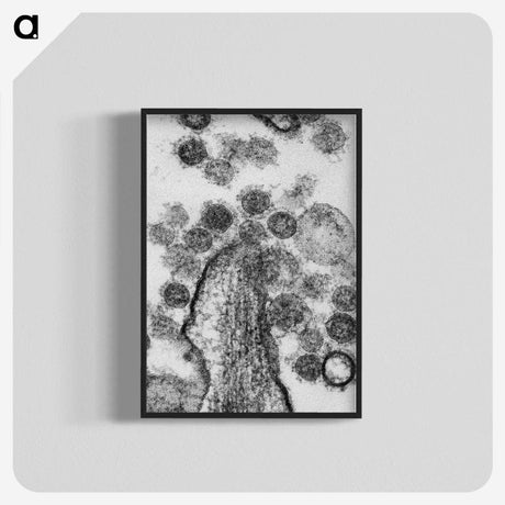1-73_COVID-19_blk-crop