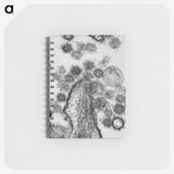 1-73_COVID-19_memo