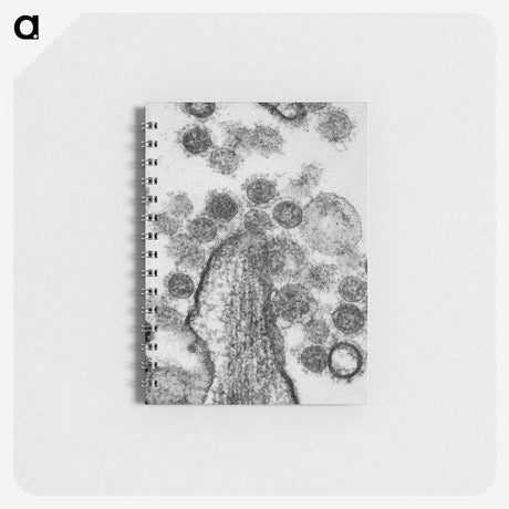 1-73_COVID-19_memo