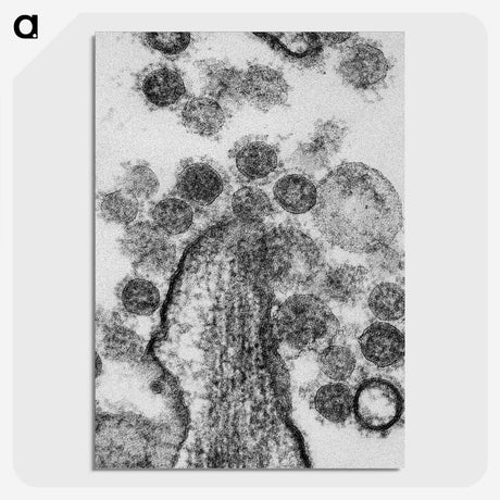 1-73_COVID-19_picture-crop