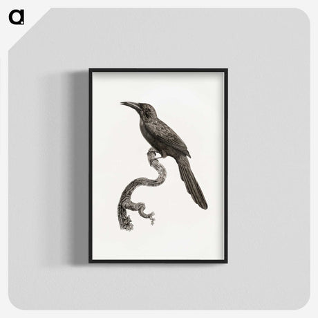 1-73_Des-Oiseaux-de-Paradis_blk-crop