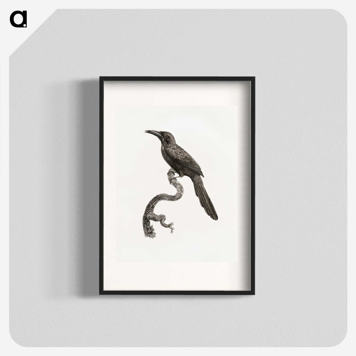 1-73_Des-Oiseaux-de-Paradis_blk