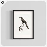 1-73_Des-Oiseaux-de-Paradis_blk