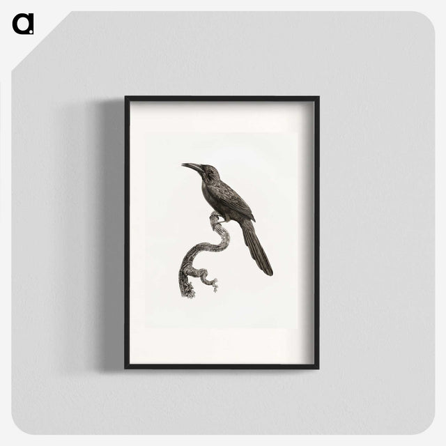 1-73_Des-Oiseaux-de-Paradis_blk