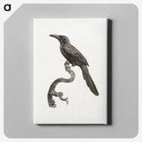 1-73_Des-Oiseaux-de-Paradis_canvas
