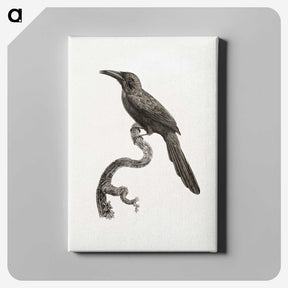 1-73_Des-Oiseaux-de-Paradis_canvas