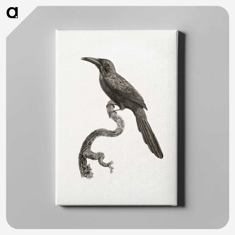 1-73_Des-Oiseaux-de-Paradis_canvas
