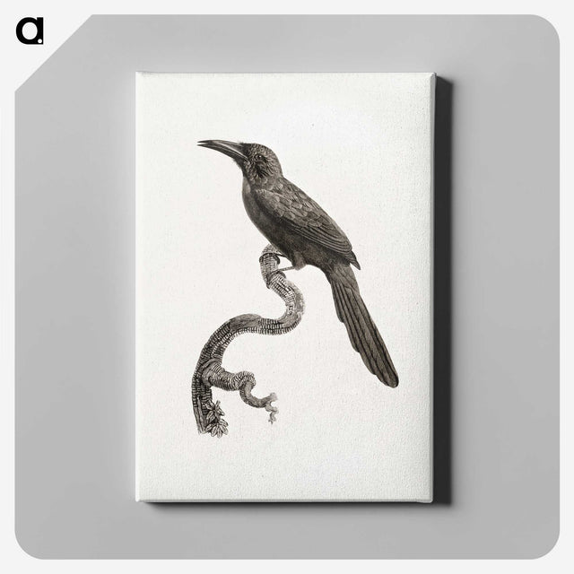 1-73_Des-Oiseaux-de-Paradis_canvas