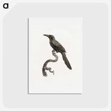 1-73_Des-Oiseaux-de-Paradis_hagaki