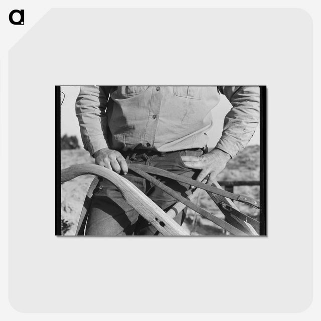 1-73_Dorothea-Lange_postcard