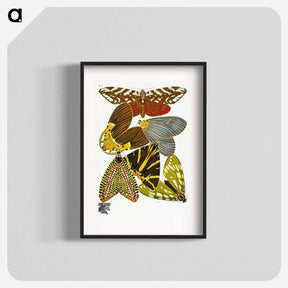 アートポスター-E.A. Séguy's vintage butterflies - E.A.セギー Poster.