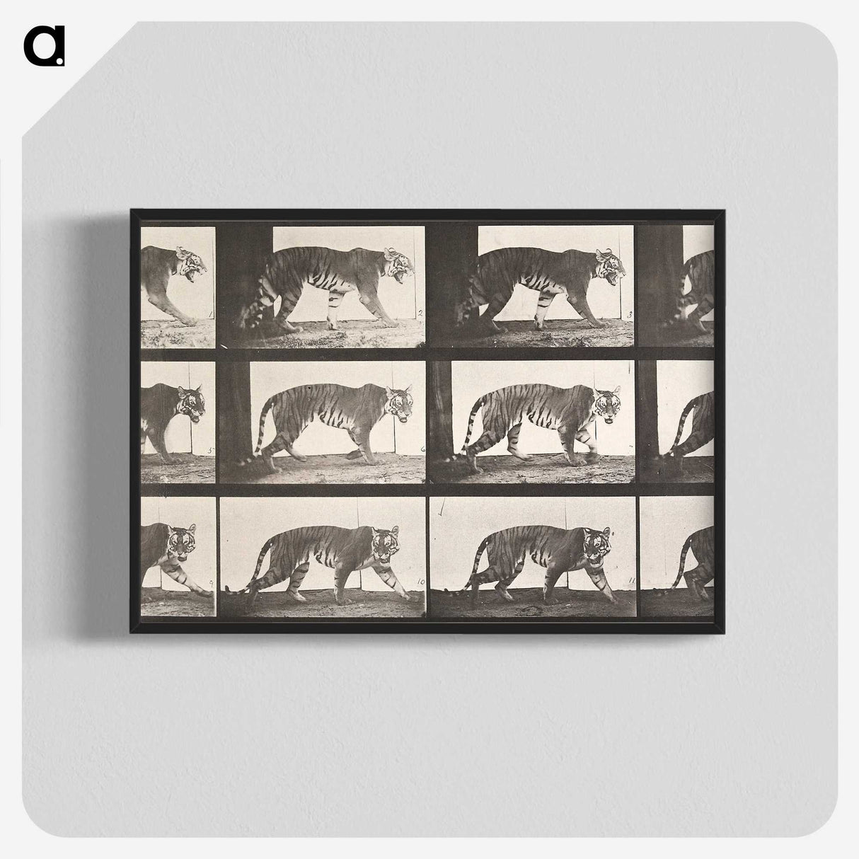 1-73_Eadweard-Muybridge_blk-crop