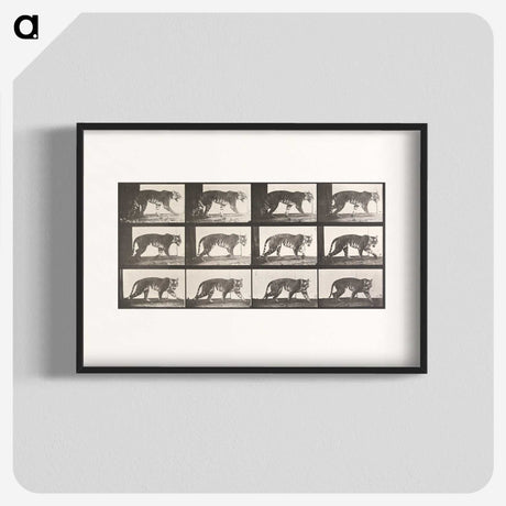 1-73_Eadweard-Muybridge_blk