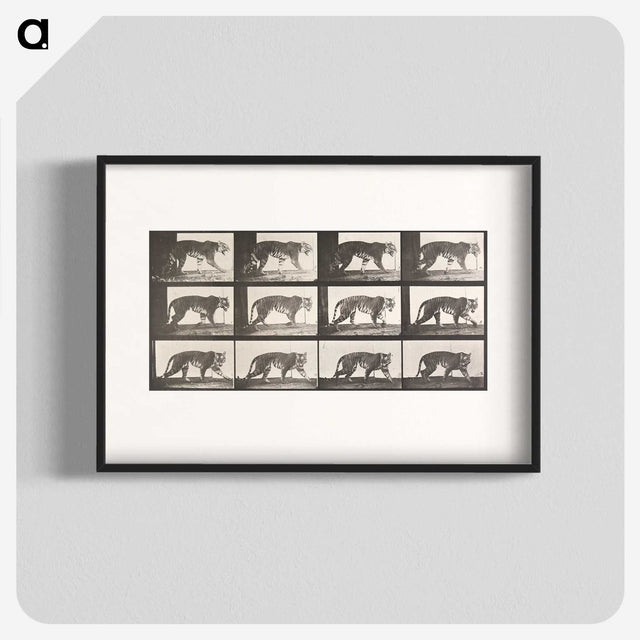 1-73_Eadweard-Muybridge_blk