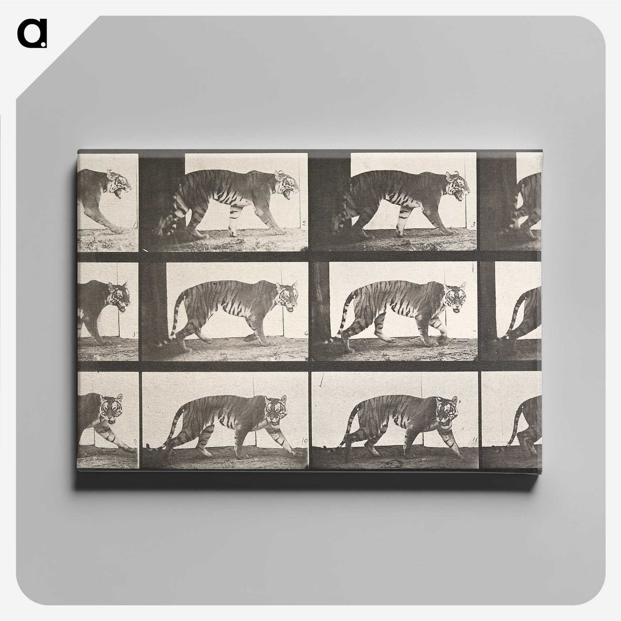 1-73_Eadweard-Muybridge_canvas