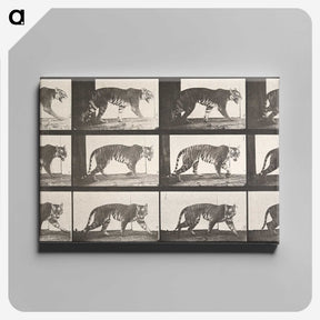 1-73_Eadweard-Muybridge_canvas