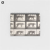 1-73_Eadweard-Muybridge_memo