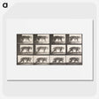 1-73_Eadweard-Muybridge_picture