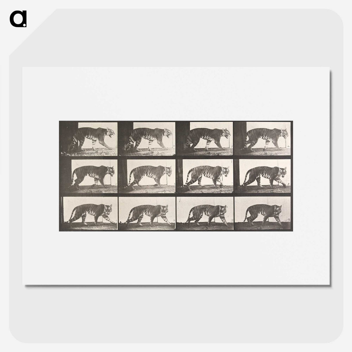 1-73_Eadweard-Muybridge_picture
