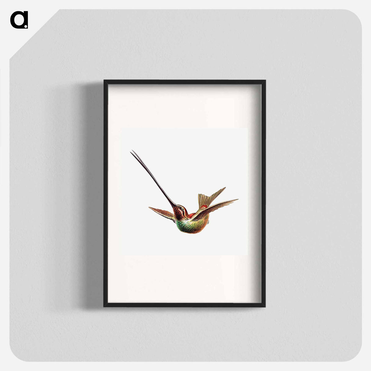 Colorful vintage hummingbird illustration - エルンスト ヘッケル Poster.