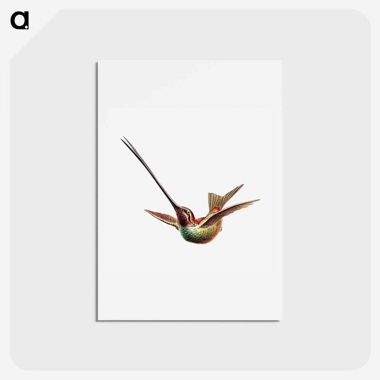 アートポストカード-Colorful vintage hummingbird illustration - エルンスト ヘッケル Postcard.