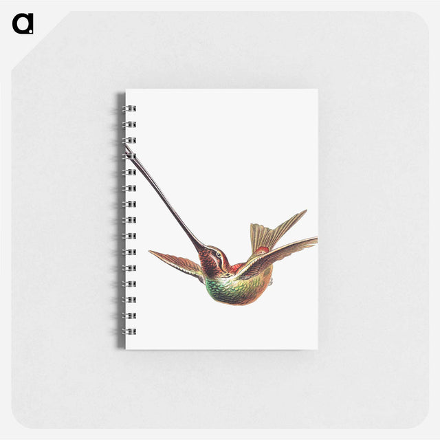 アートメモ帳-Colorful vintage hummingbird illustration - エルンスト ヘッケル Memo.