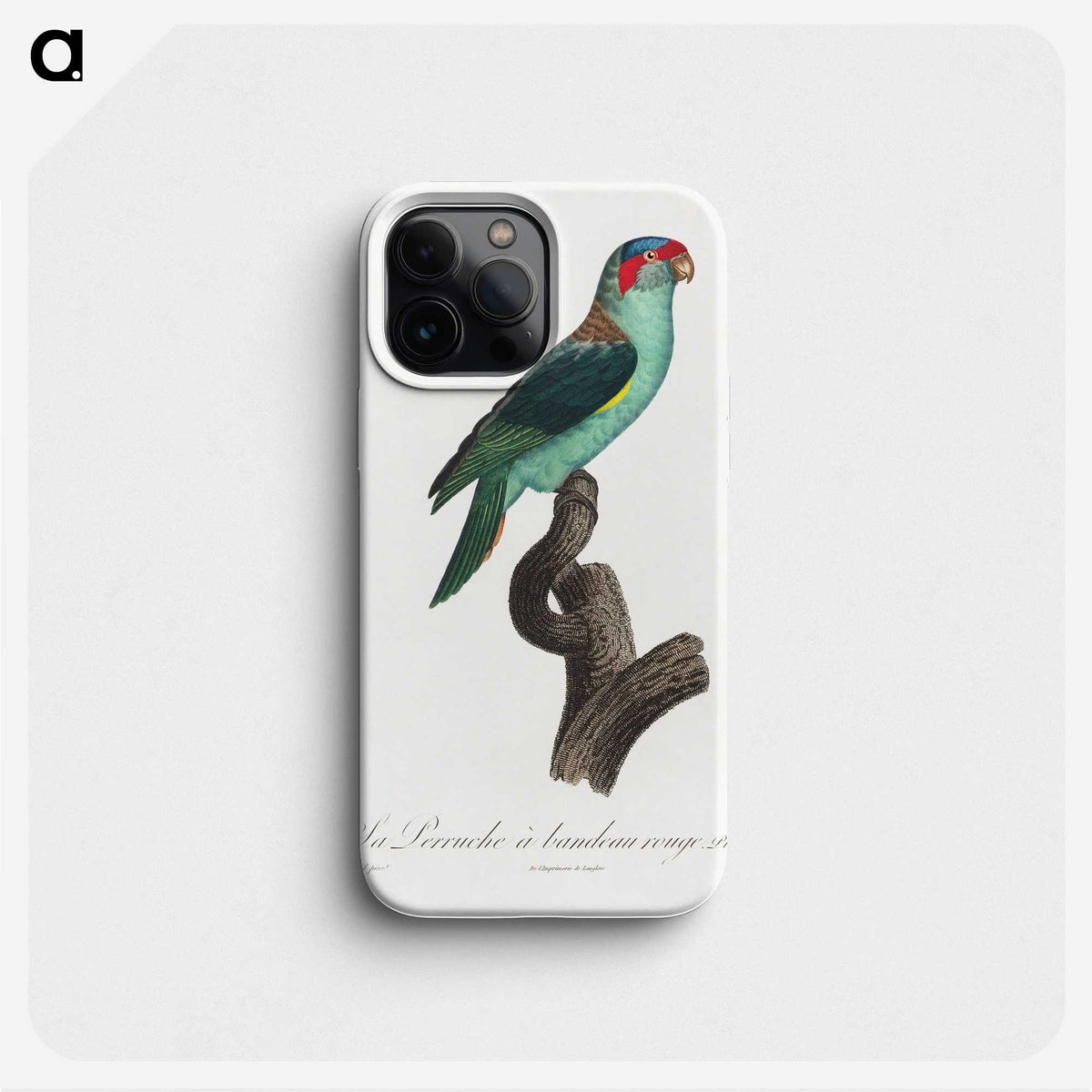 1-73_Francois-Levaillant_phone