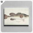 1-73_Frank-Edward-Clarke_canvas