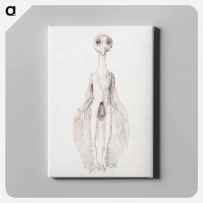 アートパネル-Owl Standing, Anterior View
 - ジョージ スタッブス Canvas.