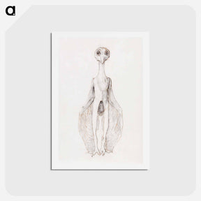 アートポストカード-Owl Standing, Anterior View
 - ジョージ スタッブス Postcard.