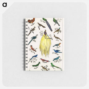 アートメモ帳-Birds from Animated Nature
 - ゴールドスミスの生き生きとした自然 Memo.
