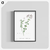 1-73_Histoire-des-Plantes-Grasses_blk-crop